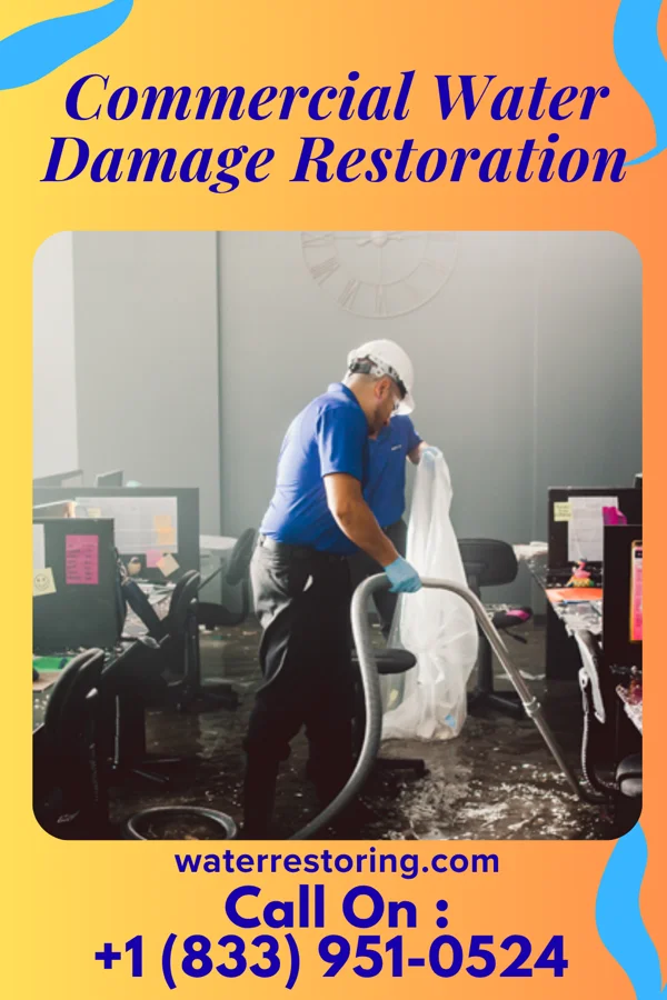 Commercial Water Damage Restoration in Grace City, ND