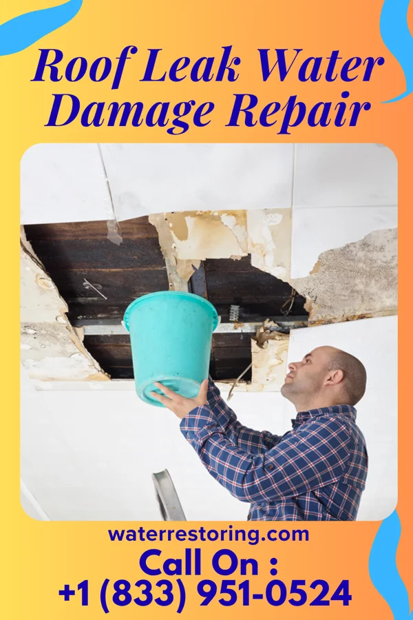 Roof Leak Water Damage Repair in Grace City, ND